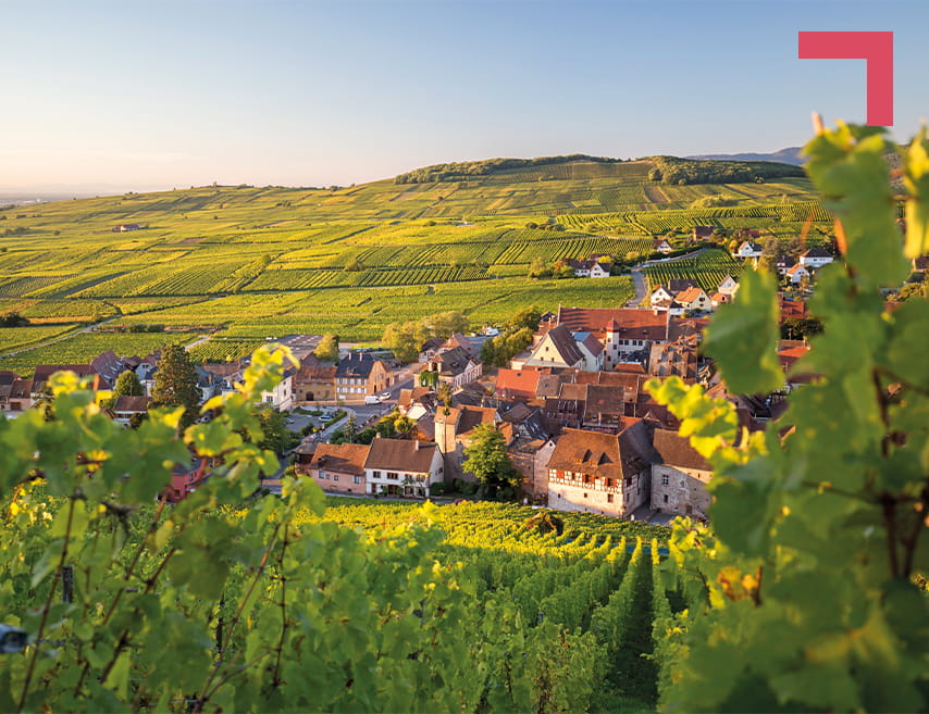 vignoble-riquewhir